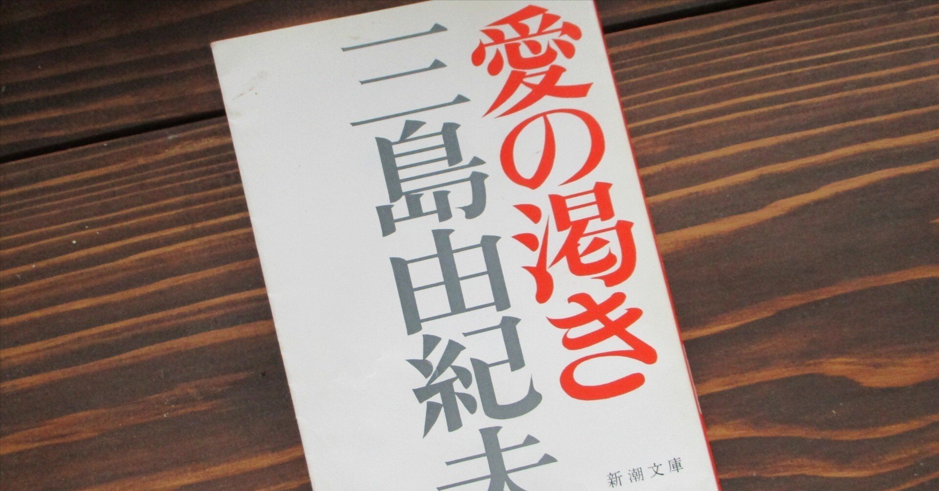 三島由紀夫「愛の渇き」読書感想文｜739番 田中