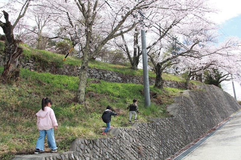 大日向小学校開校式 さくほのまさこさん Note 大日向小学校開校式 さくほのまさこさん Note