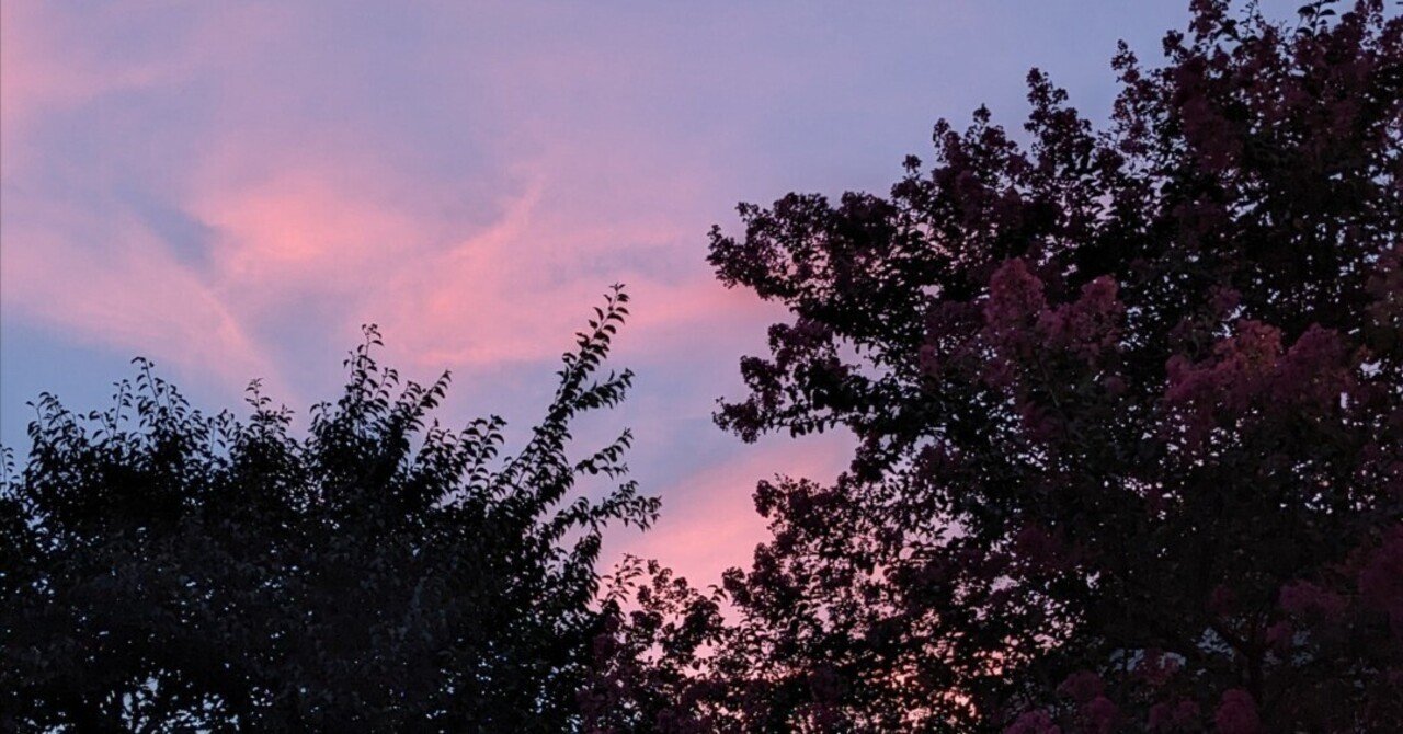 コーノヒロ(河野博文)               コーノヒロ(河野博文)