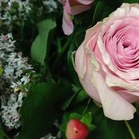 桑田佳祐 明日晴れるかな 読解 歌詞を読む める Note