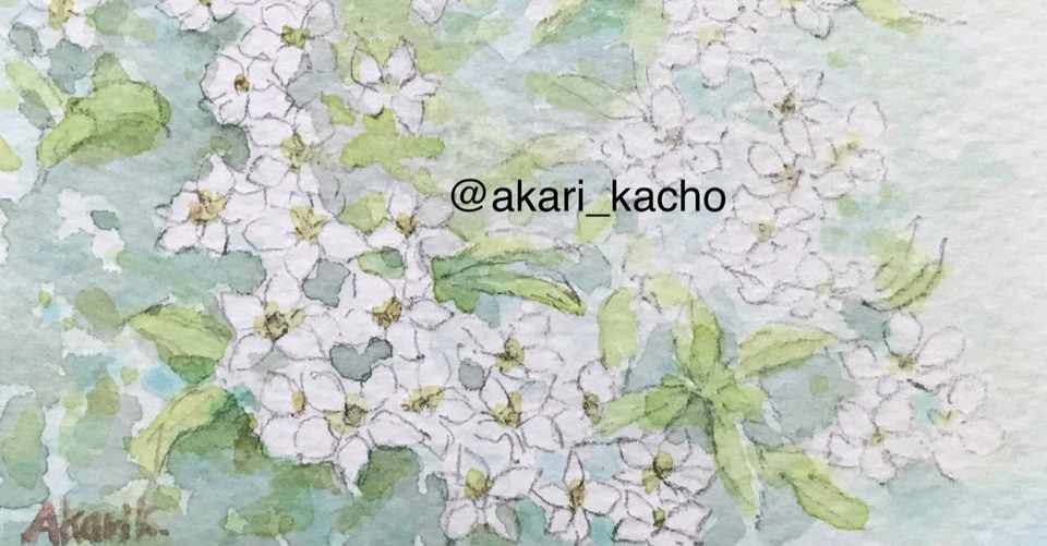 静岡展示告知あり 散歩と春の野草に花木 たからにゃ イラスト Note