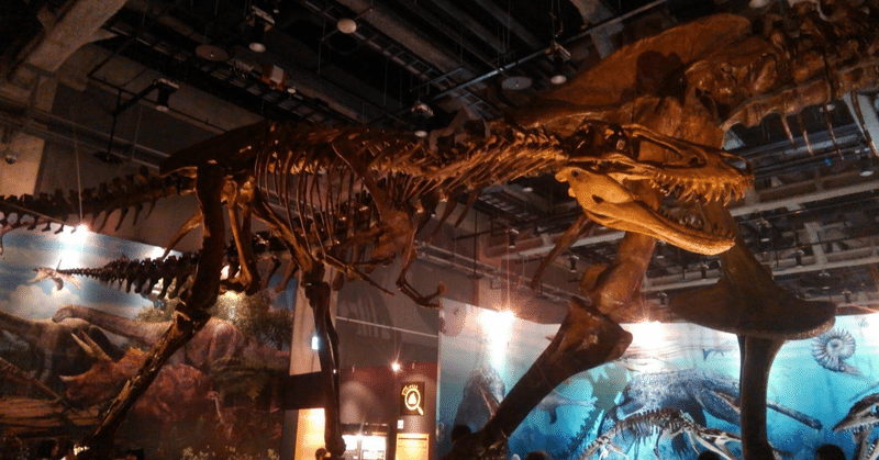 恐竜化石研究所　2016年・名古屋市科学館