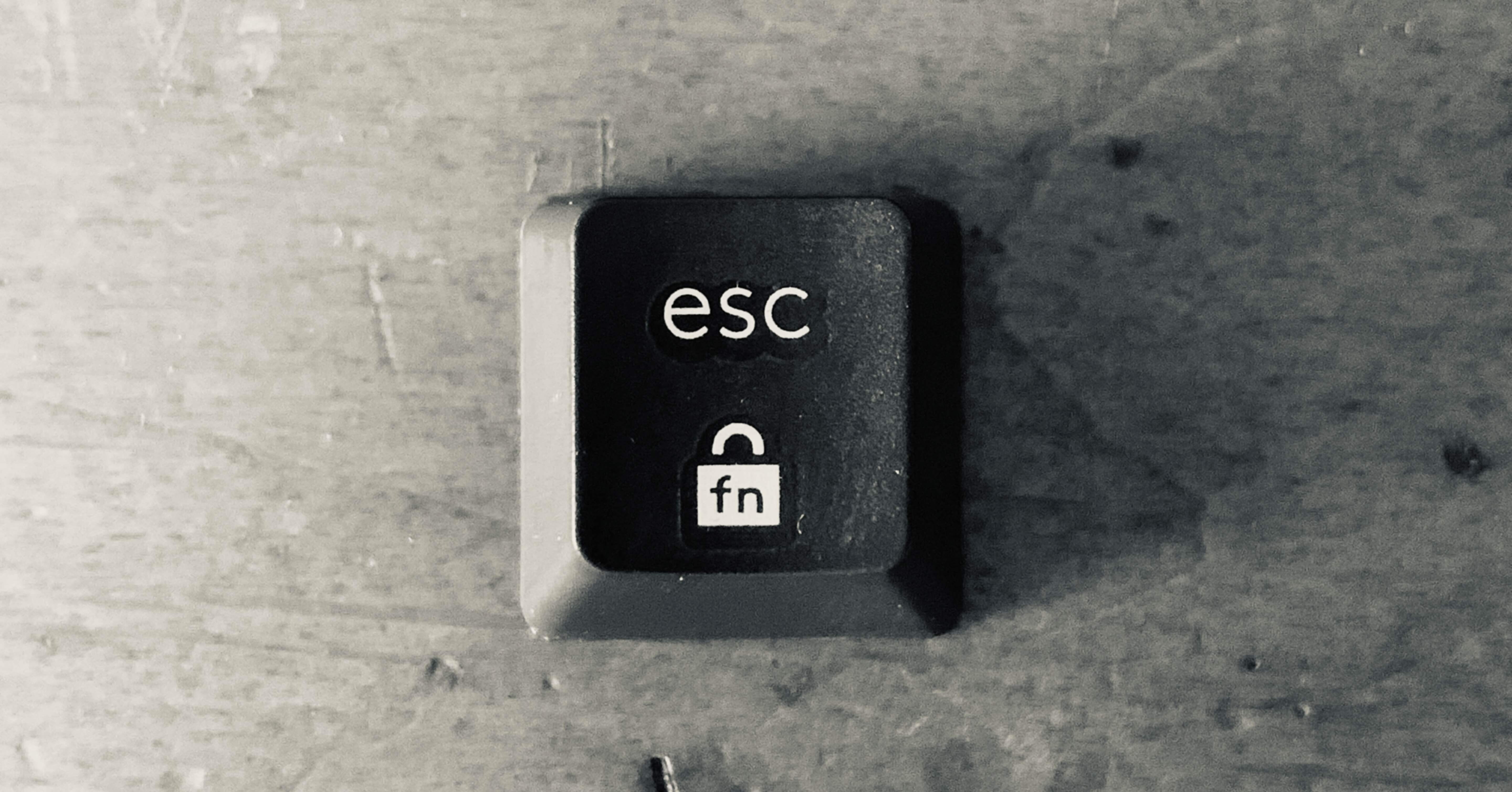 1年K835 TKL メカニカル（青軸）を使ってみたのでその感想｜Shenta