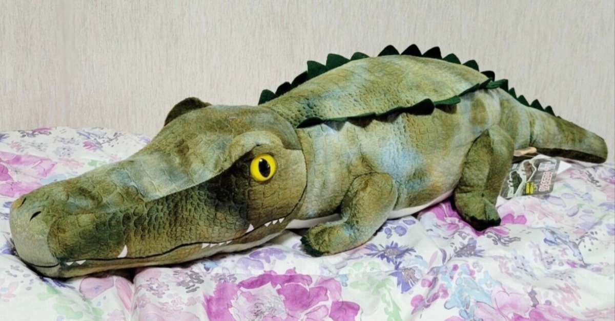 念願のワニぬいぐるみ！｜ともは