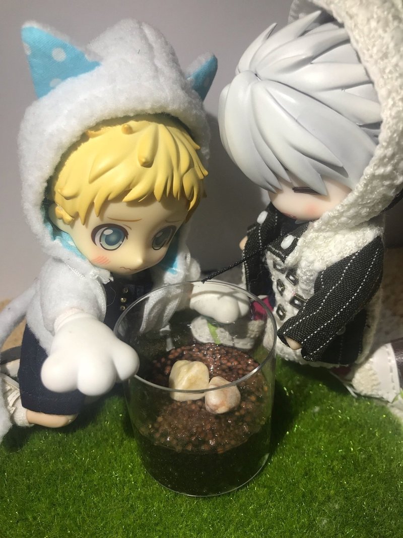 水草アクアリウムれぽ ぽんこつ Note