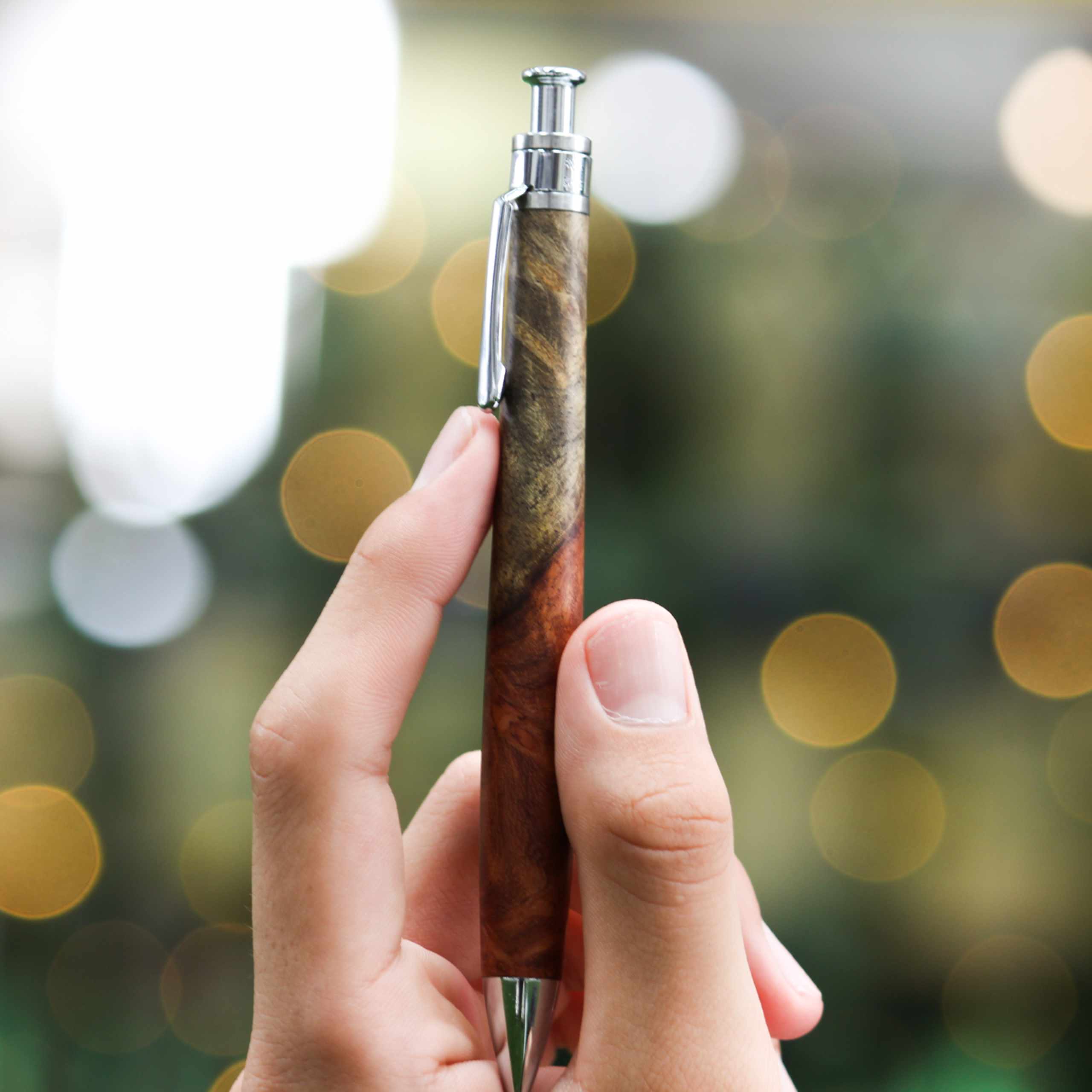 やまたけるおおきみ