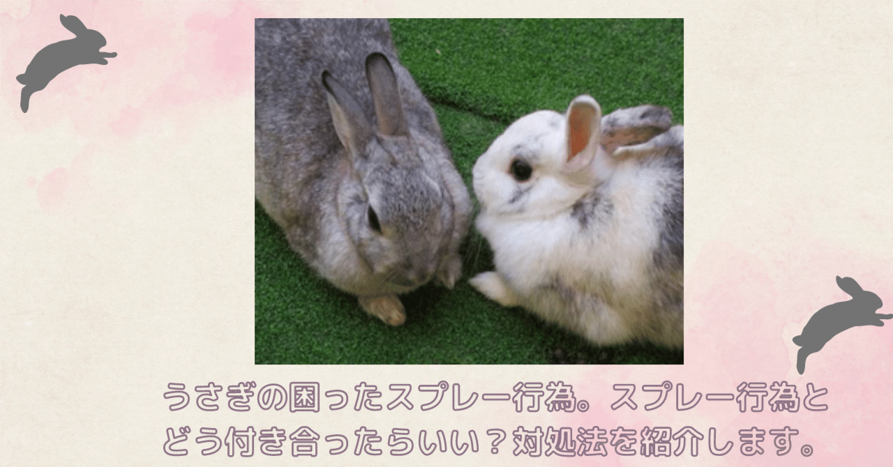 うさぎ様 専用ページ うさぎ様♡専用ページ うさぎ お客様の2件商品専用 花*うさぎさま