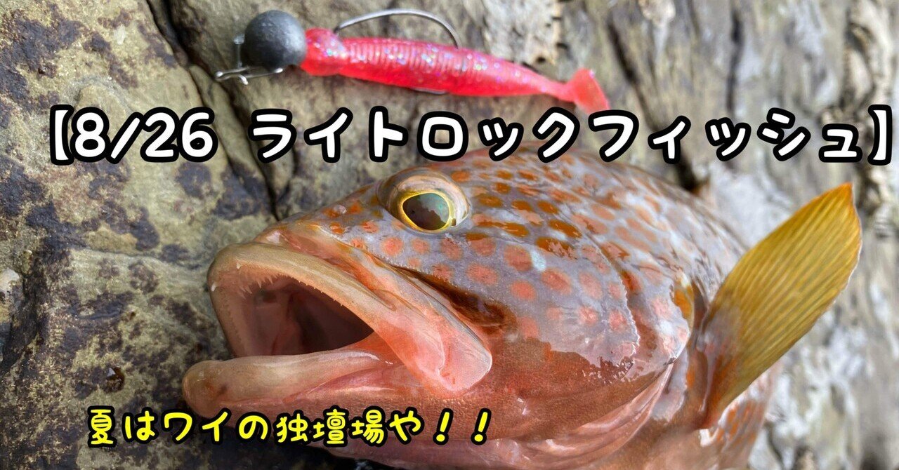 0826ライトロックフィッシュ】キジハタの極意｜ぐっちあっきー