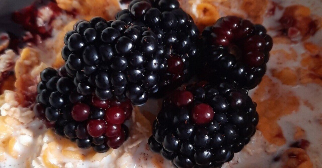 Brombeere：ブラックベリー｜深煎り珈琲☕