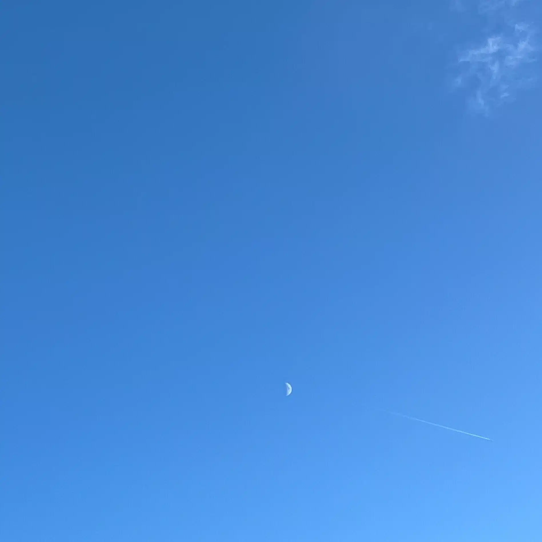 muhi