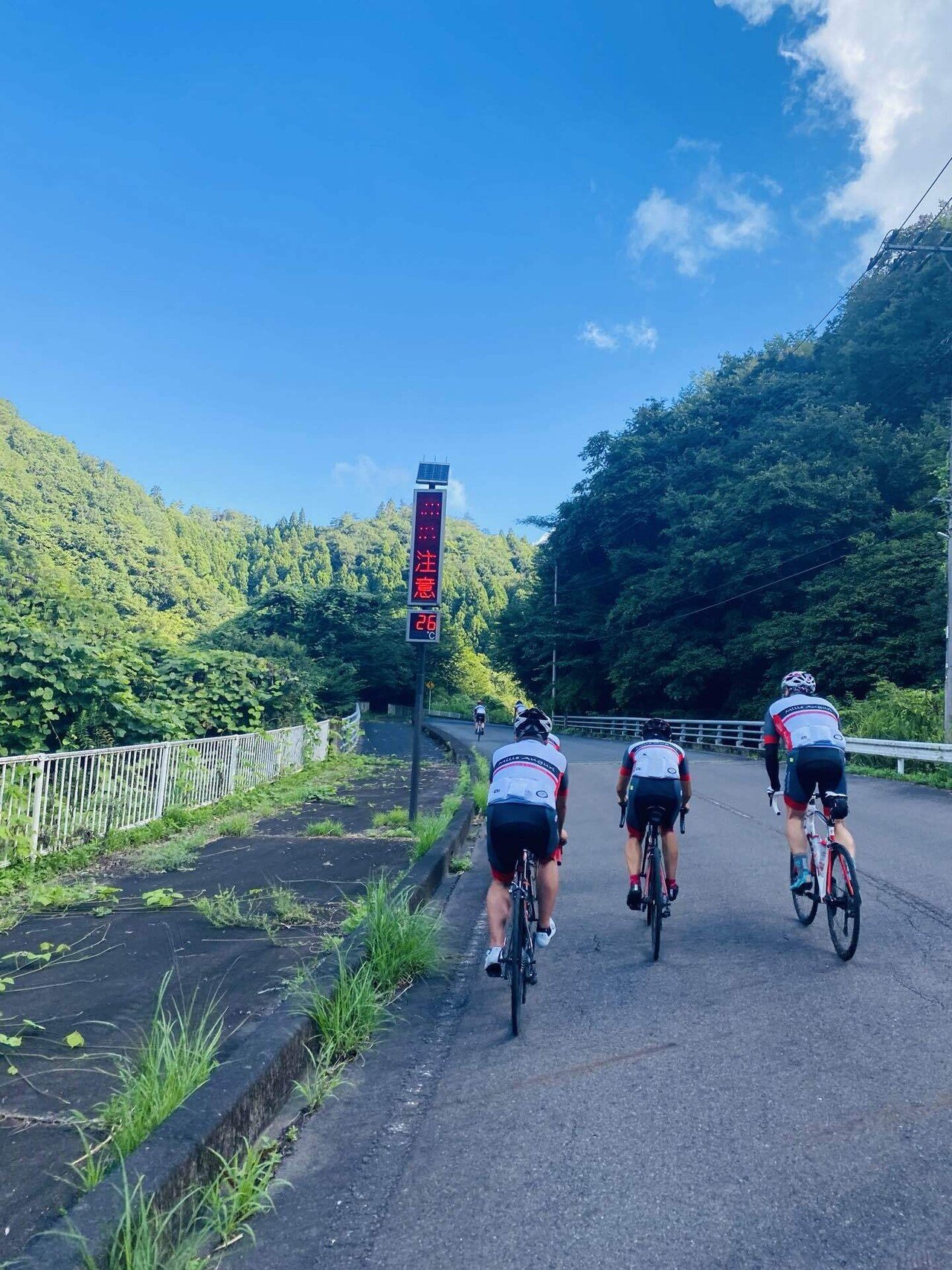 Amazon.co.jp: XZ91 大阪サイクリング協会 旅とサイクリスト