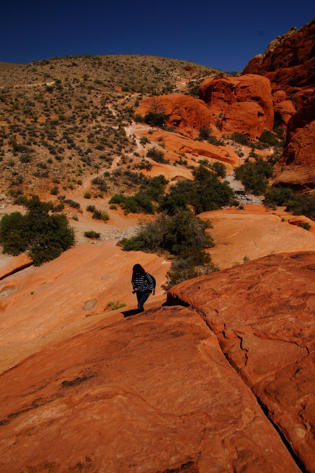 アメリカで出会った100の光景 No.9＜大自然の絶景＞レッドロック