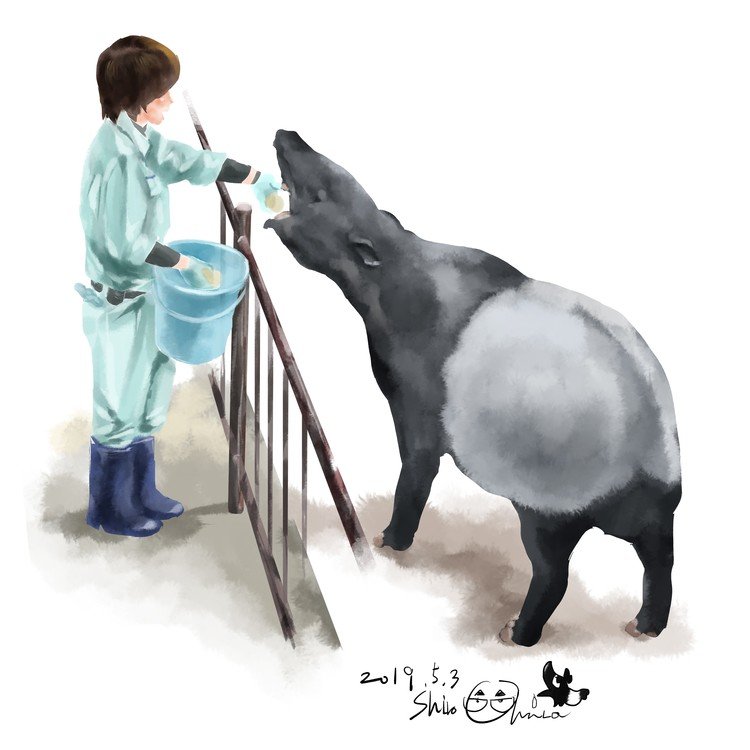 Animals 動物たちのイラスト バク 大原 司朗 Note