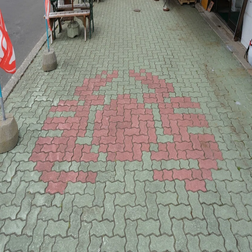 夏から逃げて道東 ラッコとシャチに会う旅｜funwarioisii