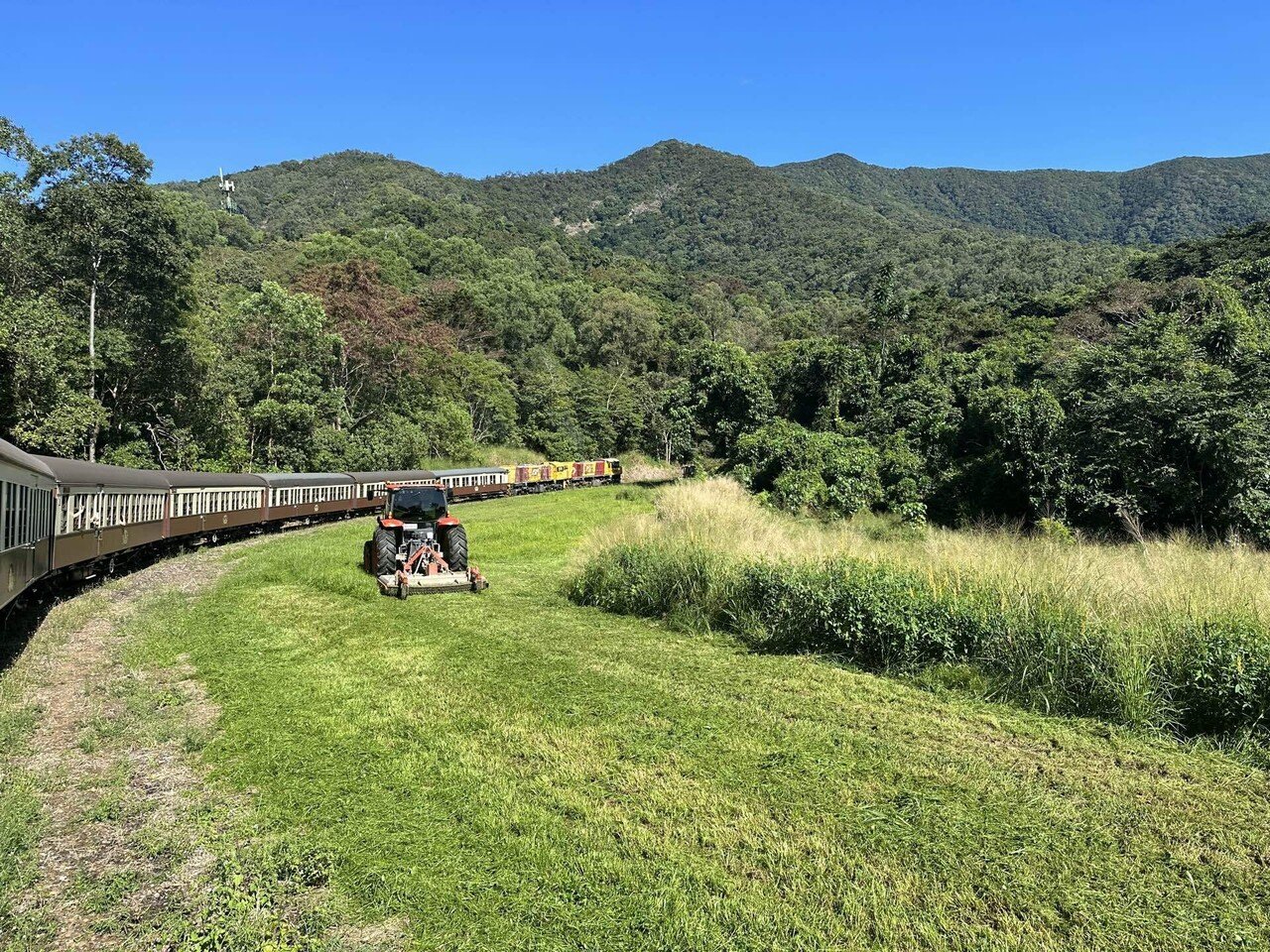 ケアンズ旅行② キュランダ｜Manami@カナダ＆オーストラリア留学
