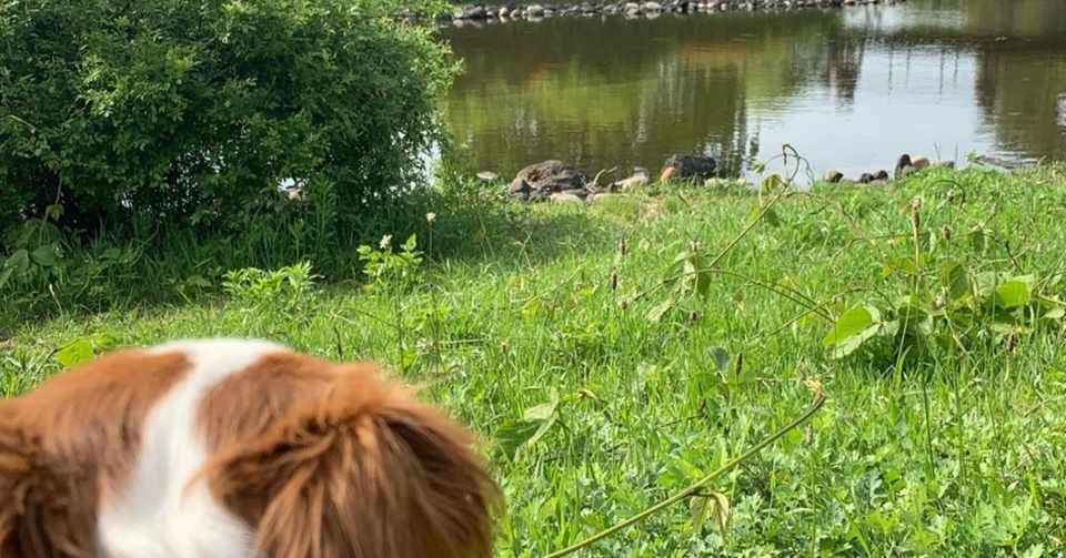 令和だけど国営昭和記念公園 立川市 Aya Note