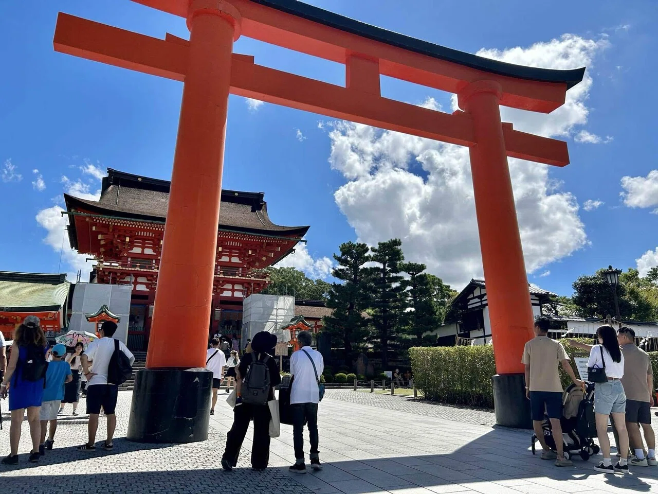 お土産屋さんにいるアイツ「オコジョストラップ」の謎に迫る