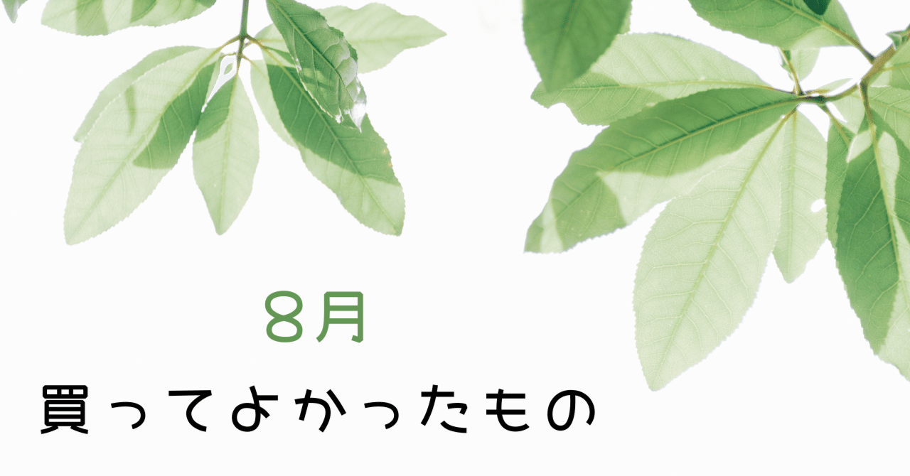 ガジェット大好き ガジェット好き】の8月に買ってよかったもの｜わちゃ