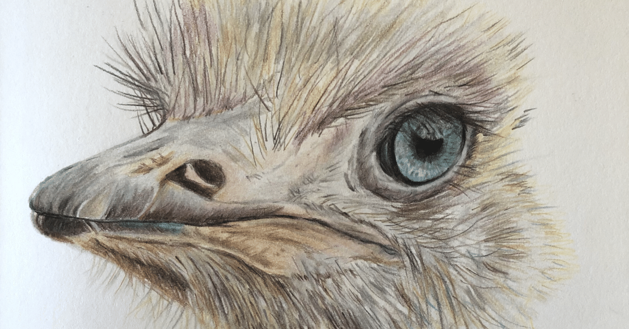 絵本「かたあしだちょうのエルフ」｜Andrea＠ポジティブマインド