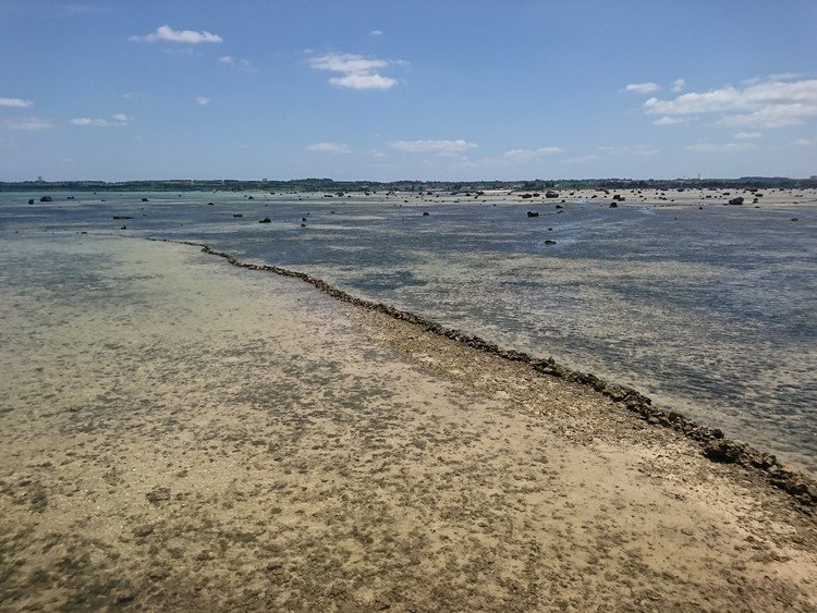 今日は大潮。下地島のナガピダにある魚垣の修復ボランティアに参加！
石を積むだけの簡単な作業だけど、楽しかった～！またやりたい！