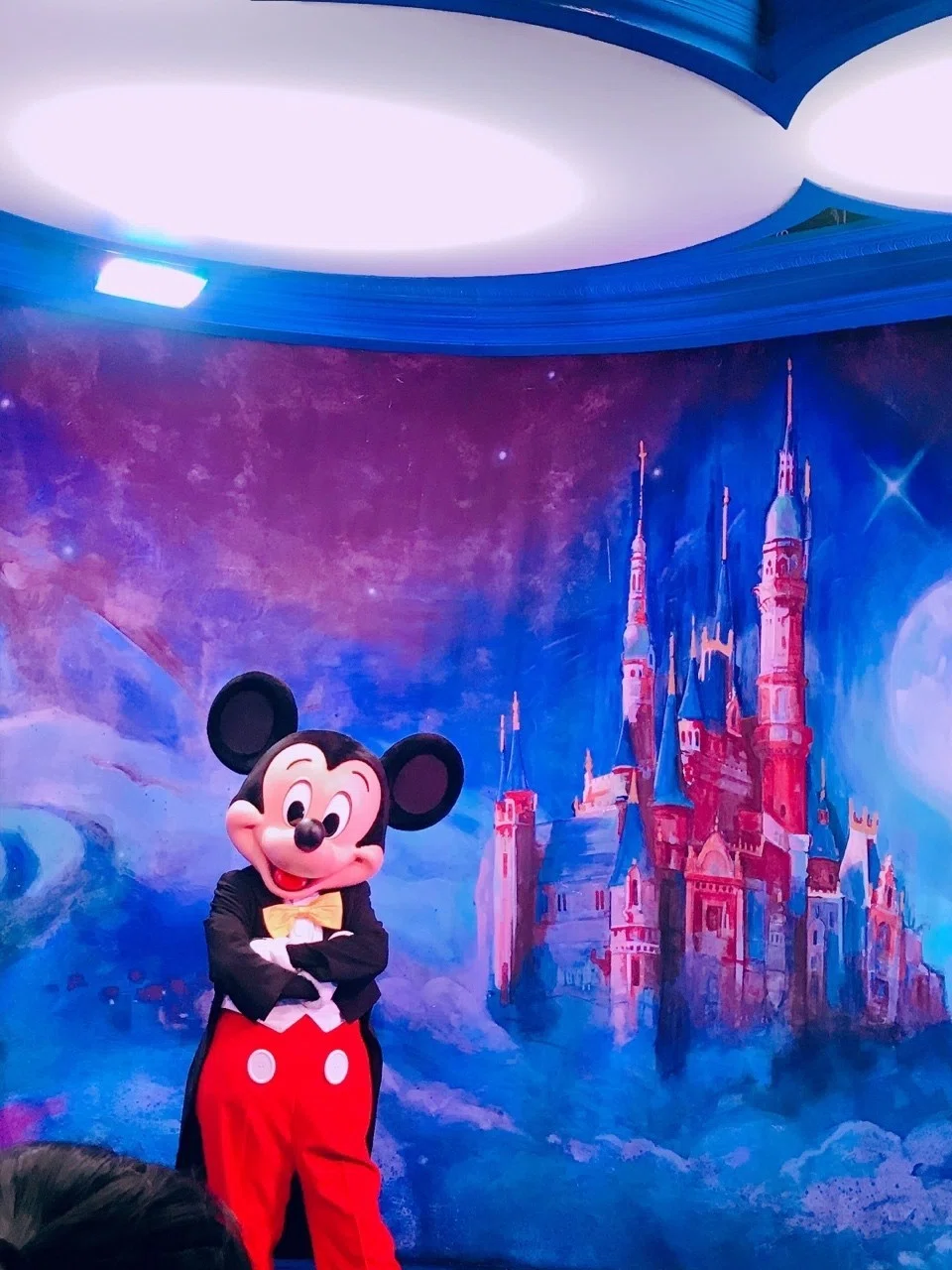 上海ディズニーランド｜みみ