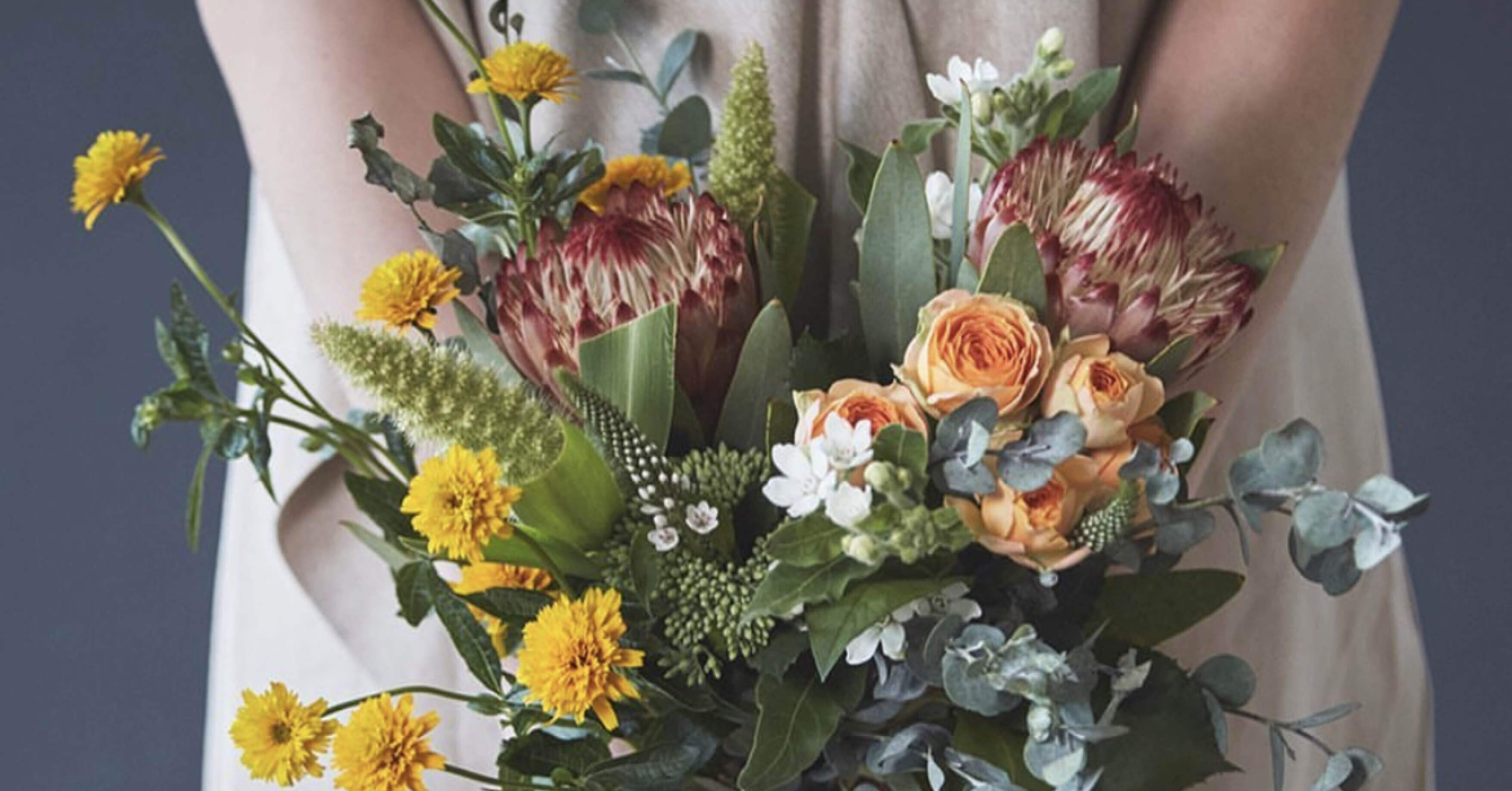 ⑨＊本日価格‼️プロテア　ロビン　5本‼️ ネイティブ スワッグ  花材　人気品種＊ 生花】プロテア ロビン 40cm～(赤×クリーム)【OR-83】※月入荷少 - 花材