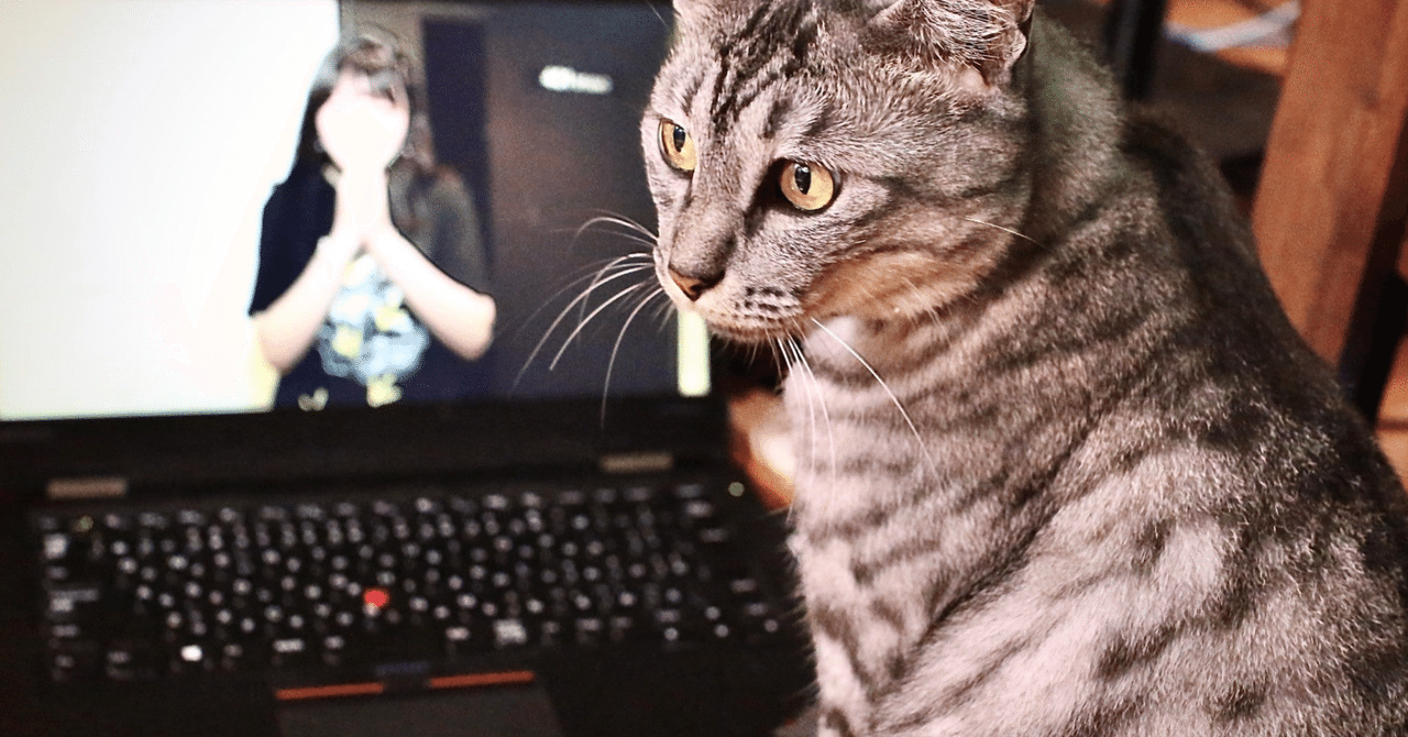 パソコン初心者でも馴染みやすい！グーグルChromeOS Flex 中古再生PC Free! I installed Chrome OS Flex on a very low spec Windows