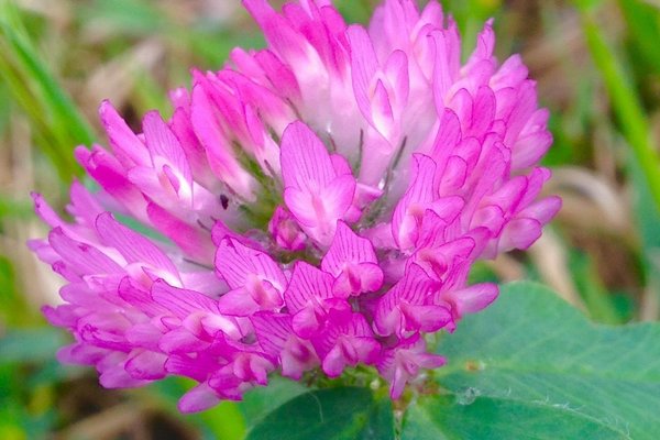 マゼンダピンク の新着タグ記事一覧 Note つくる つながる とどける マゼンダピンク の新着タグ記事一覧 Note つくる つながる とどける