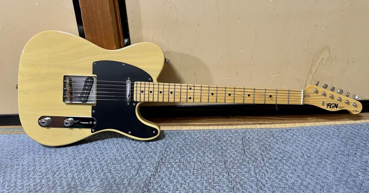 FUJIGEN 心地よい NTE10MAHT テレキャスターシンライン 国産本格モデル 