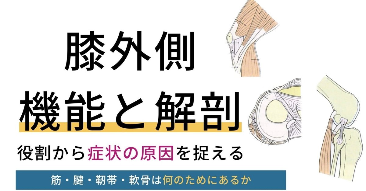 図解・膝の機能解剖と靭帯損傷 図解・膝の機能解剖と靭帯損傷 |本 | 通販 | Amazon