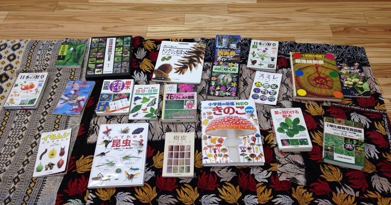 図鑑を広げたら 自分のルーツが見えた かとうちはる Note 図鑑を広げたら 自分のルーツが見えた かとうちはる Note