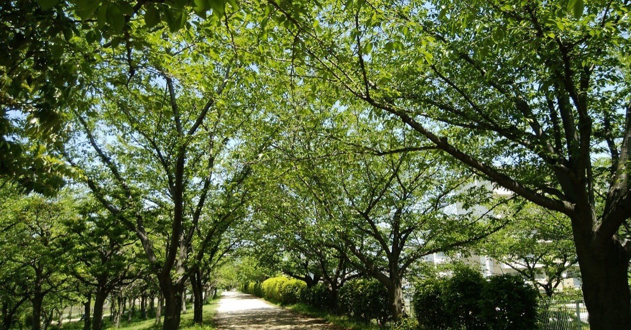 リラックスしたいなら 自然に触れるのが一番 ヒトウレビト Note