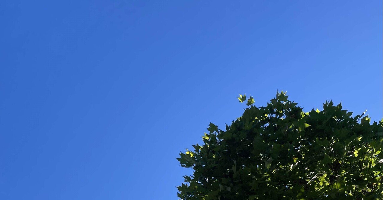 八戸の湊｜湊かすみ