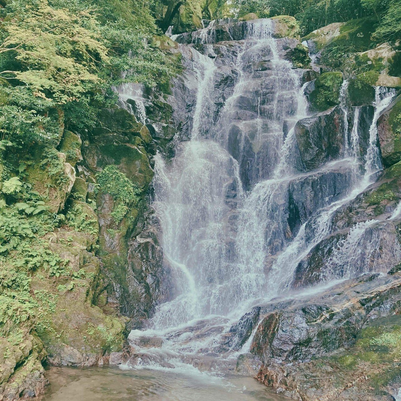 福岡県民に人氣の糸島にある白糸の滝です。 不動明王様が祀られている滝で、平日の今日も人でいっぱいでした。 名物はそうめん流しや釣りなどあって