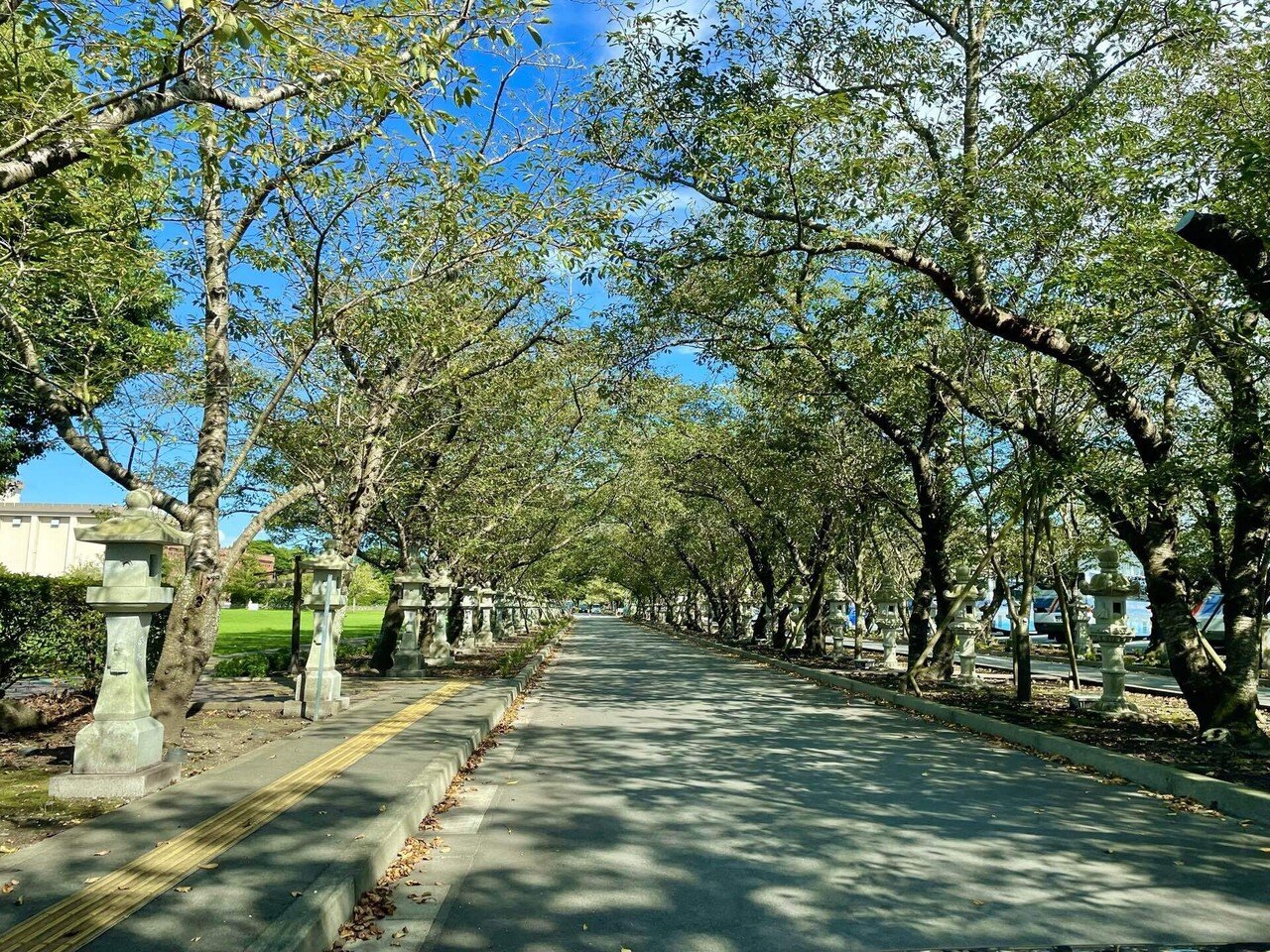 君のいた夏｜なな