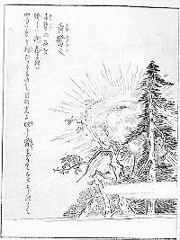 【呪物】五位の光「青鷺火」 第196回 怪談青鷺火(ゴイサギ)｜翆野 大地