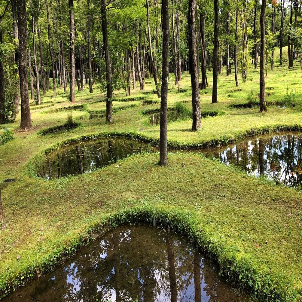 art biotop：水庭」石上純也｜hirocomic