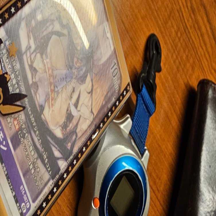 BT4-087】アヌビモンとぼく｜たことも