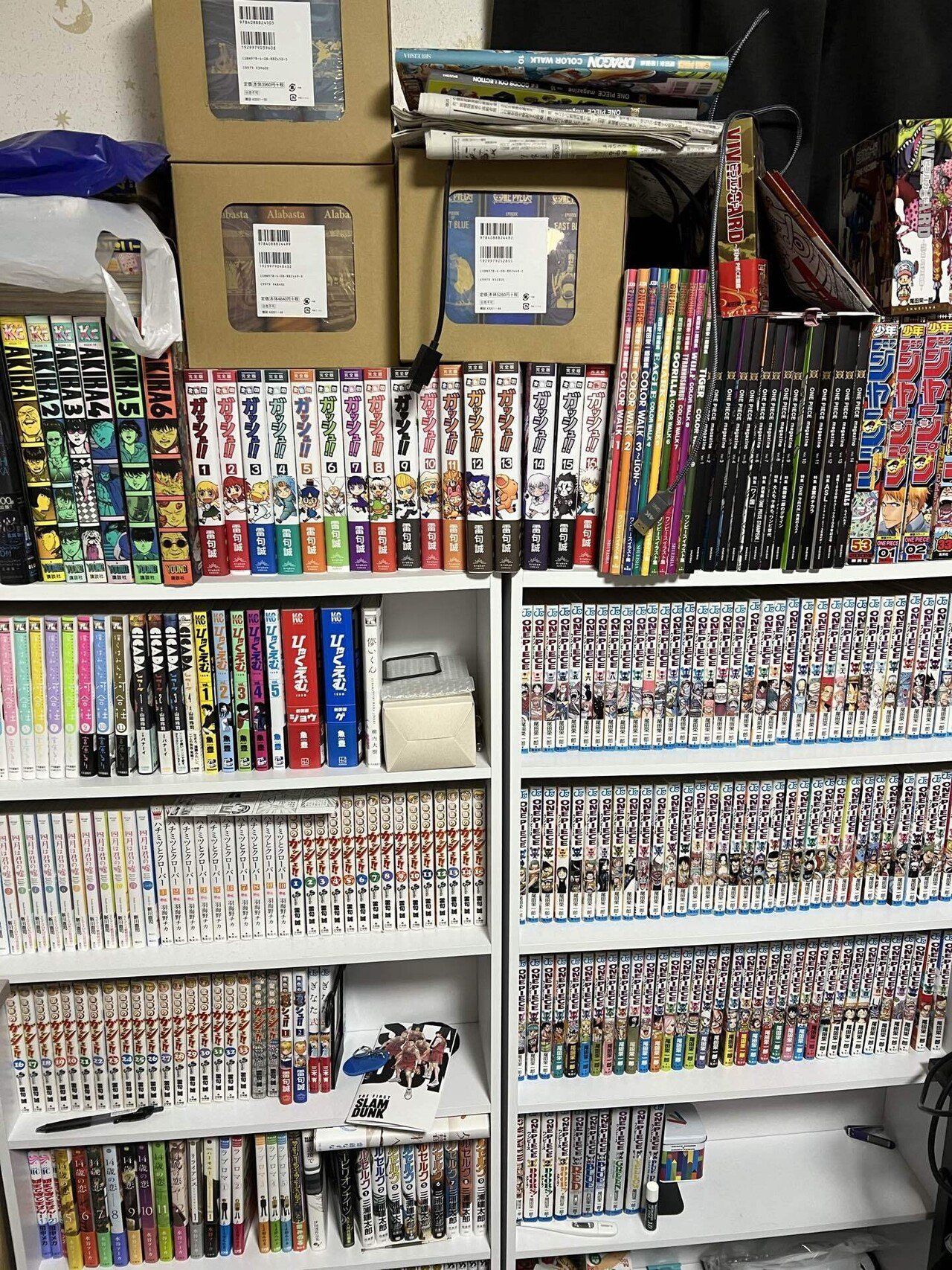19000冊の漫画部屋｜つぶあん太郎 a.k.a たろイム
