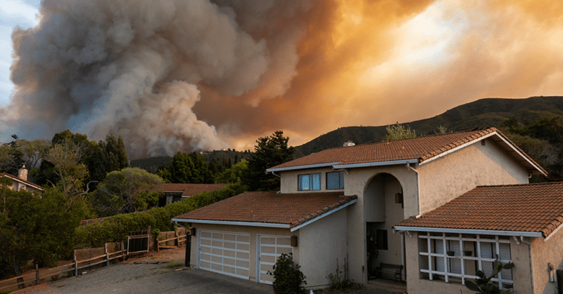山火事の後、マウイ犬がカリフォルニア到着2日後に永遠の故郷を見つける