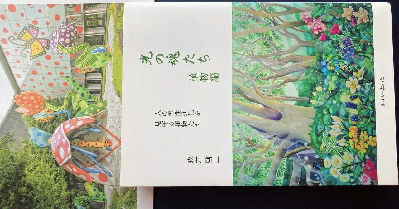 光の魂たち 植物編 光の魂たち 植物編 人の霊性進化を見守る植物たち | 森井啓二