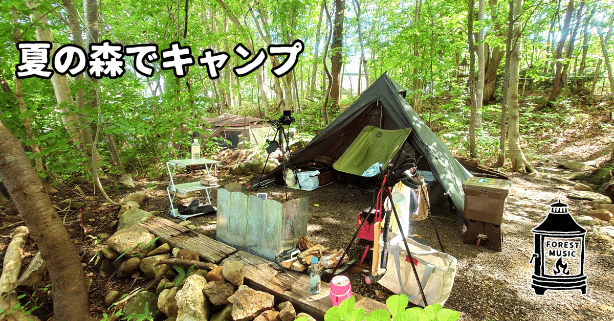 ソロキャンプ　野営　無骨　森緑　森林 1557【キャンプ】【4K】2024年最新版！茨城県牛久市 野営＆直火