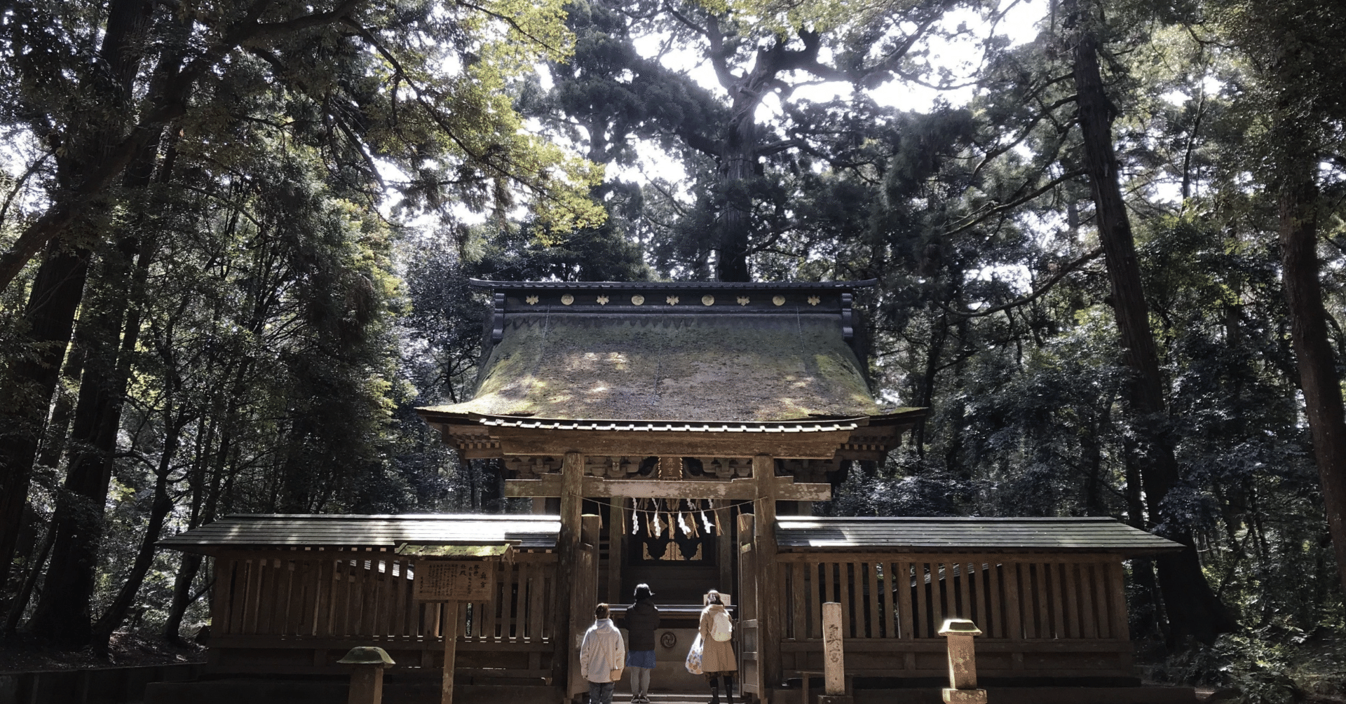 三島由紀夫「三熊野詣」（追記）｜アボカドトマトナス