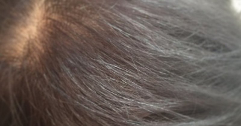 ブリーチをした髪にグレージュをのせたら緑になってしまった場合の原因と対処法 Kenji Wec Hair Note