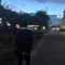 かと