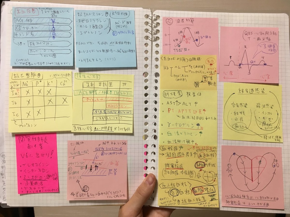 薬剤師国家試験 勉強法まとめ｜西井香織のアイデア研究所