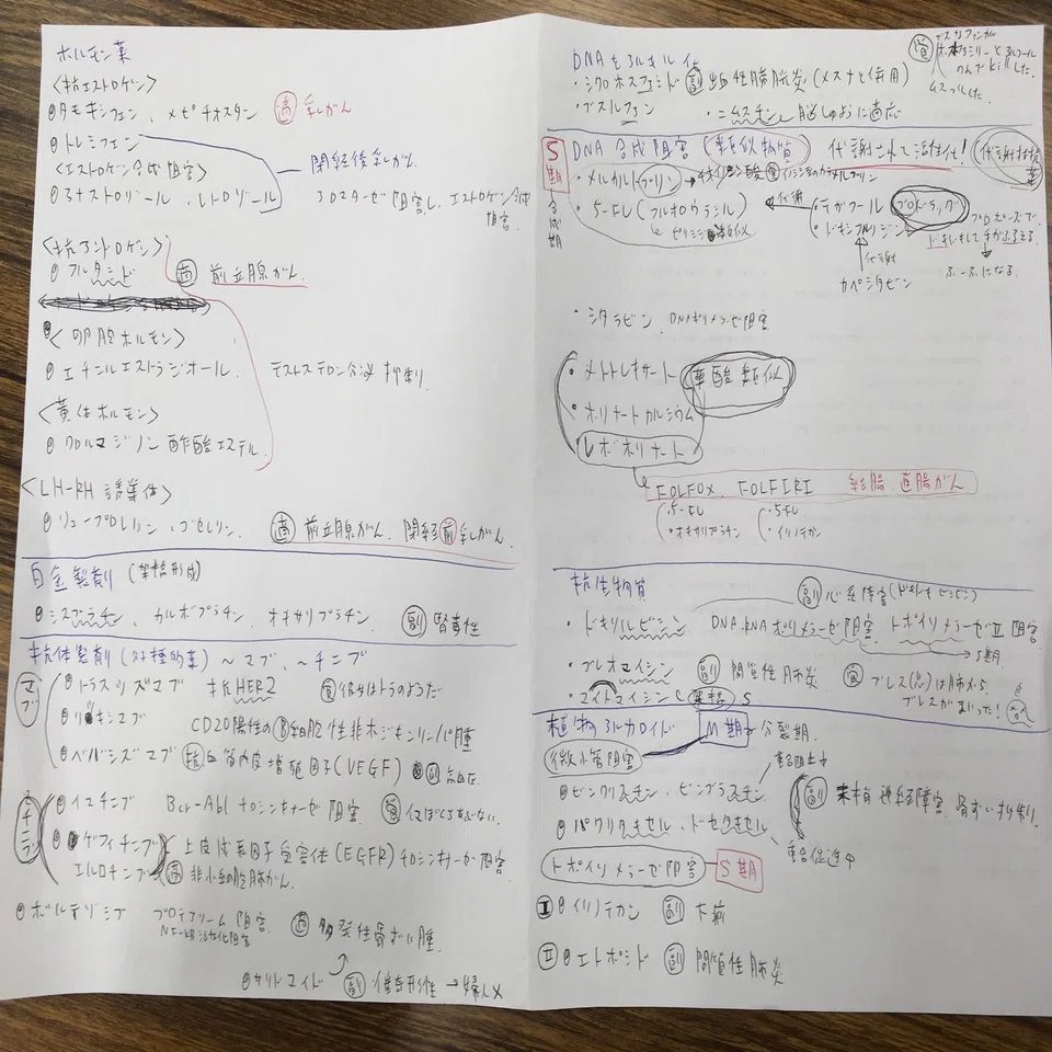 薬剤師国家試験 勉強法まとめ｜西井香織のアイデア研究所