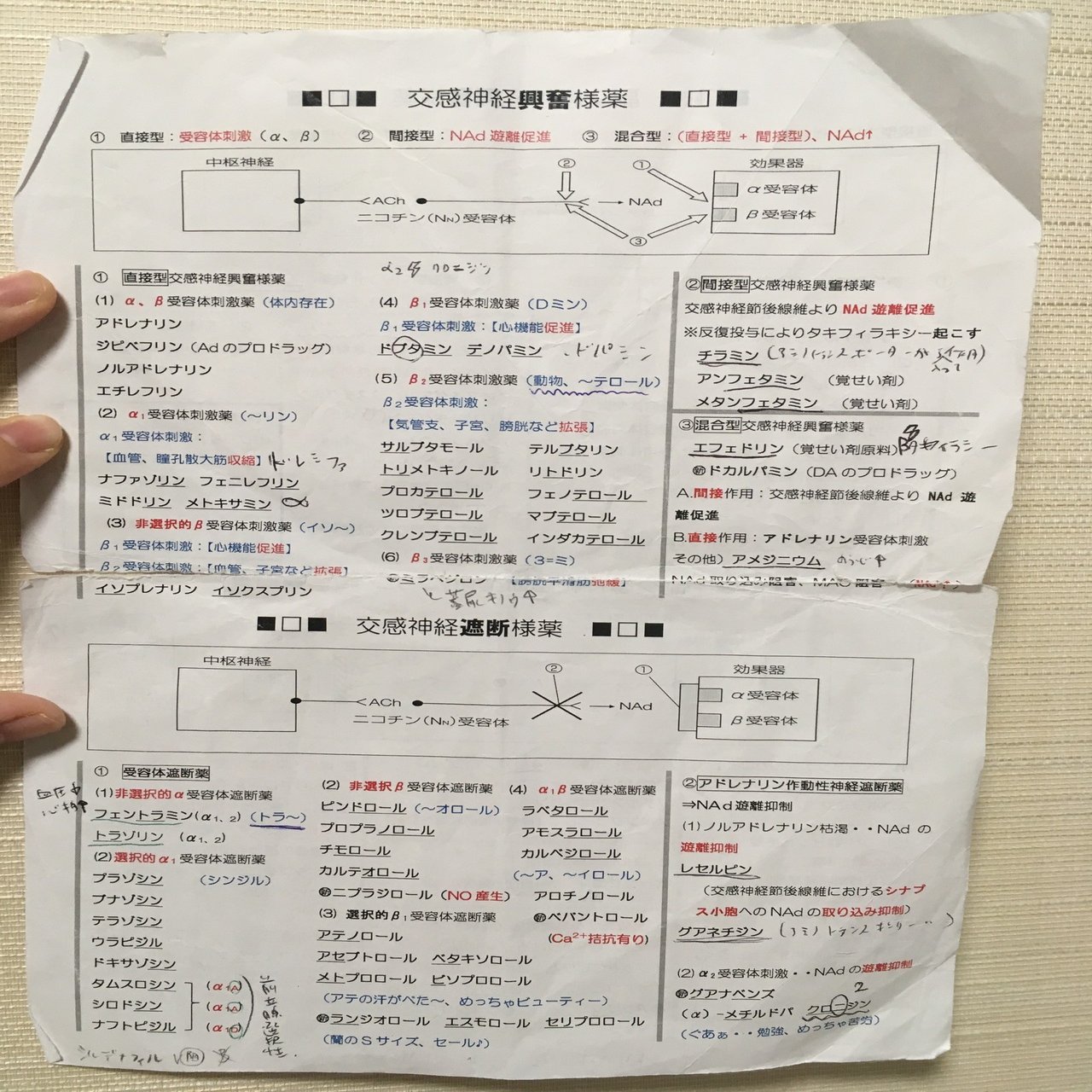 薬剤師国家試験 勉強法まとめ｜西井香織のアイデア研究所