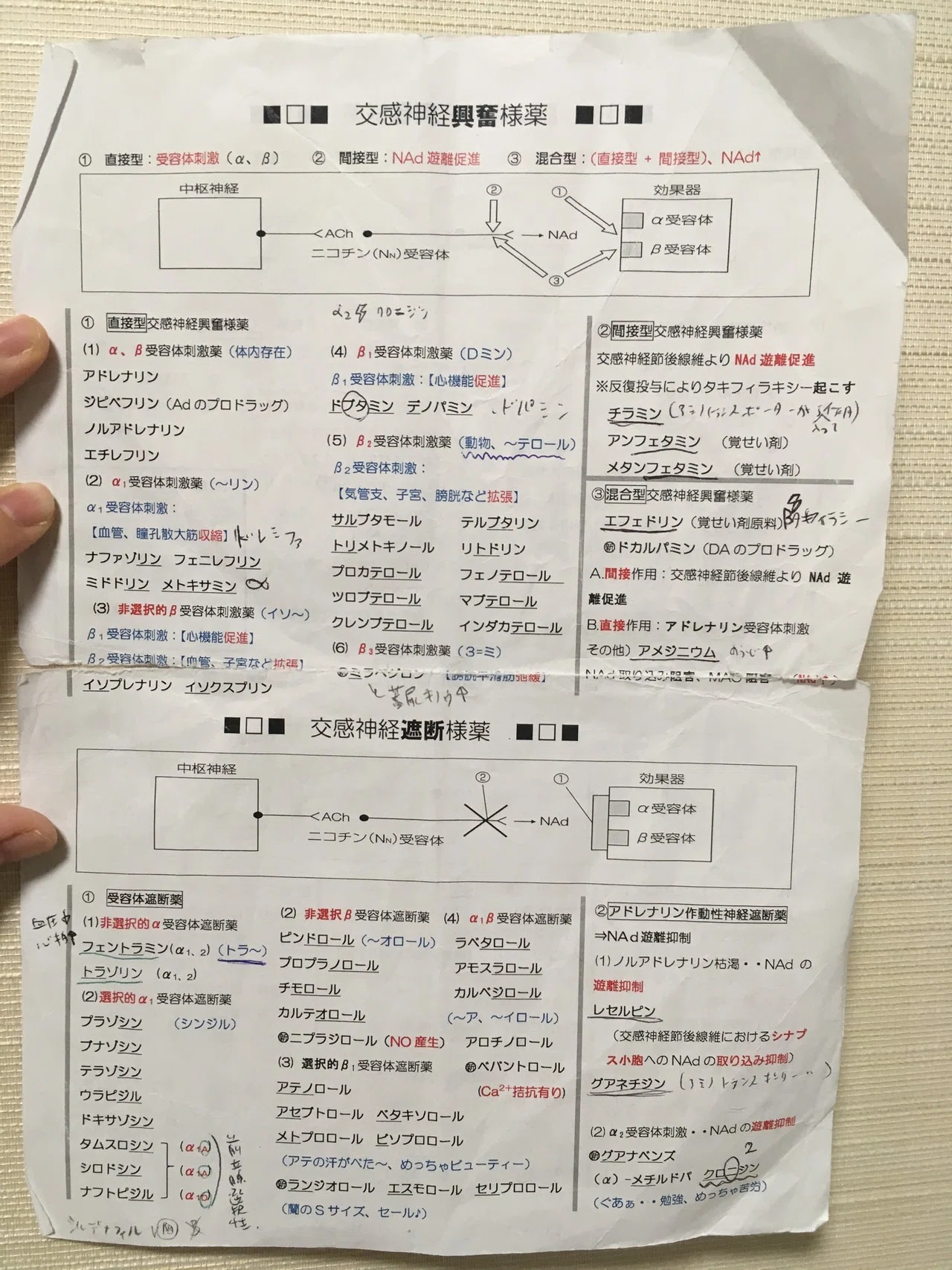 薬剤師国家試験 勉強法まとめ|西井香織のアイデア研究所 薬剤師国家試験 勉強法まとめ|西井香織のアイデア研究所