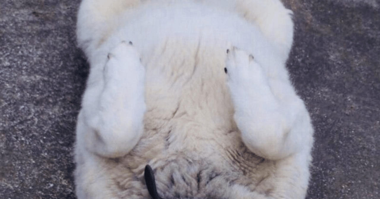 素人女 投稿 牝豚素人SM投稿写真